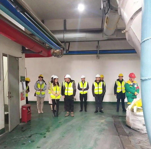 亲历南平环保设施开放 探访“大胃王”的强消化功能，见证除害兴利变废为宝