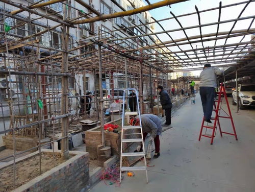 河北保定莲池区罐头厂新宿舍环境大整改行动见成效 环境卫生与公共设施安装服务双提升